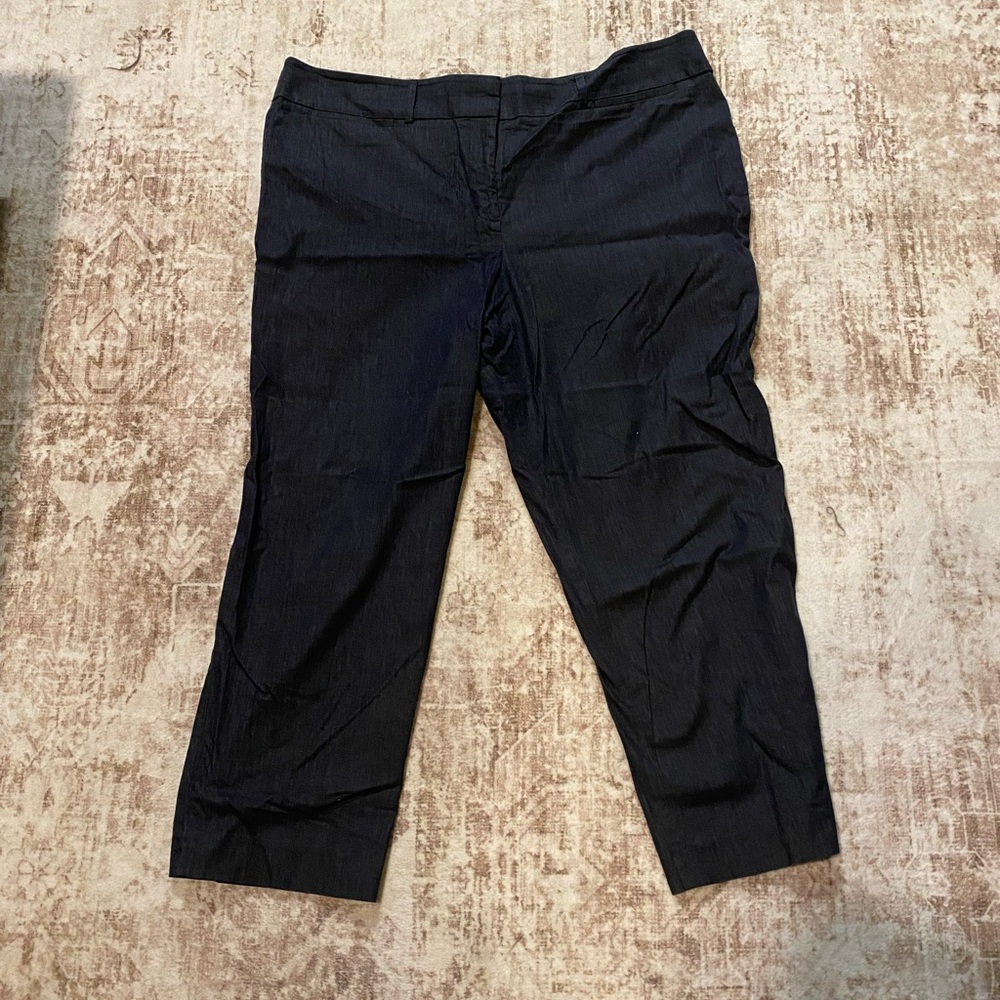 Ann Taylor Factory curvy fit pants, size 16.